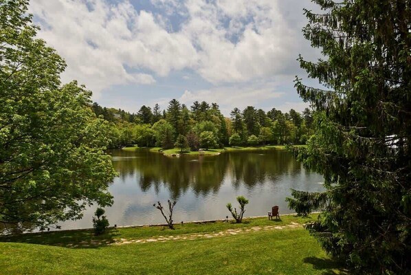 A serene lakeside view with a grassy area, trees, and a bench.