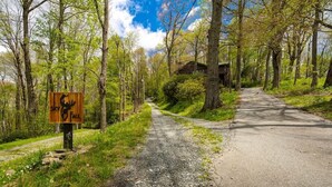Ein Kiesweg führt zu einer rustikalen Holzhütte, umgeben von Bäumen.