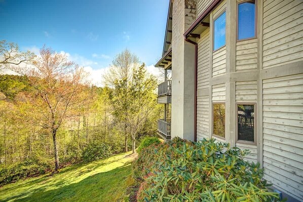 Unclassified image, 1 of 25, button