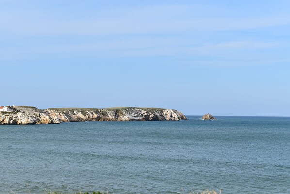 A coastal landscape with rocky cliffs and a small island.