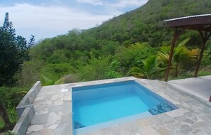 Piscina rectangular con baldosas de piedra, rodeada por una terraza de madera y un pabellón, con vistas a una ladera verde exuberante.