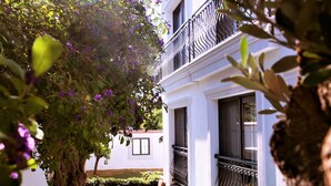 Un edificio blanco con balcón, rodeado de follaje y un césped cuidado.