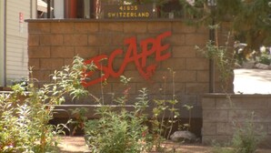 A brick wall with the words "ESCAPE SWITZERLAND" and a phone number.