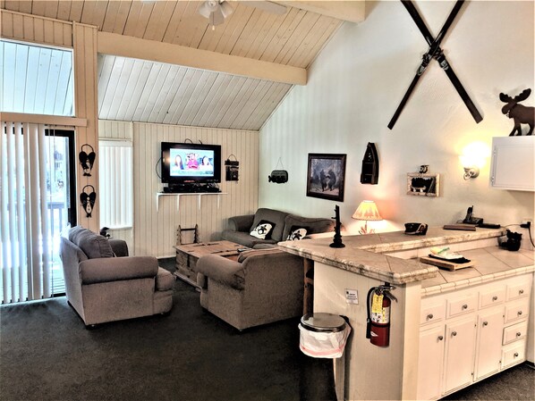 Televisión, chimenea y reproductor de DVD 