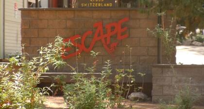 Bright & Cozy Mountain Retreat at Snow Summit