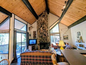 电视、壁炉、DVD 播放器