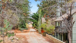 A narrow, unpaved road flanked by residential houses and dense trees, leading into a residential area.