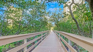 Un paseo marítimo de madera rodeado de abundante follaje y árboles.