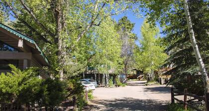 Single room suite, king bed, jetted tub close to Estes Park
