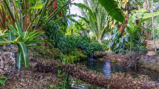 Un exuberante jardín con un pequeño arroyo, follaje denso y una estructura de piedra.