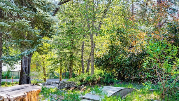 Une zone boisée avec une terrasse en bois et un sentier pavé de pierres.