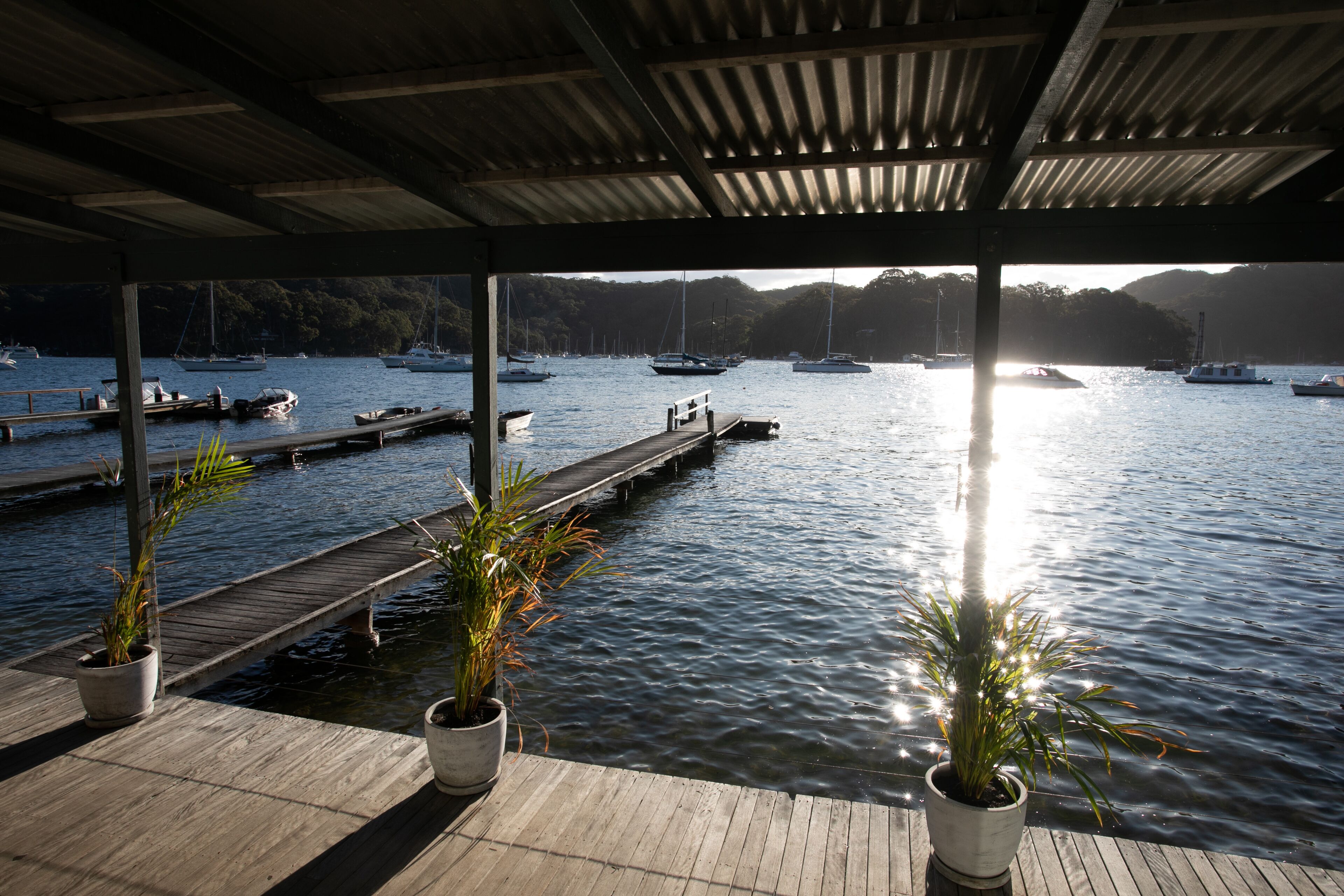 Sunset Cottage on Scotland Island