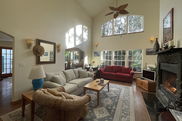 リビング エリア