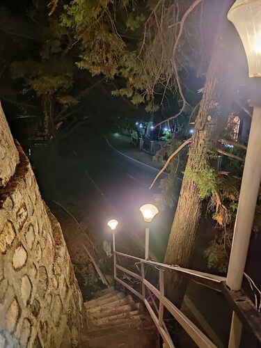 Mountain View stay with activities like Bird watching, paragliding, hikes etc.