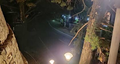 Mountain View stay with activities like Bird watching, paragliding, hikes etc.