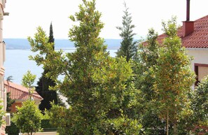 Terrain de lâhĂ©bergement