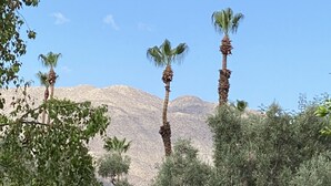 Un jardin bien entretenu, agrémenté de palmiers, d’une pelouse verdoyante et dominé par une chaîne de montagnes.