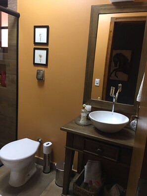 Suihku, hiustenkuivaaja