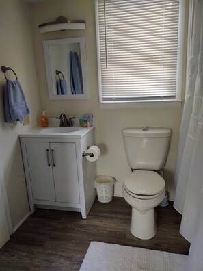 Combined shower/bathtub, towels, soap, toilet paper