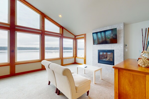 Televisión, chimenea y reproductor de DVD