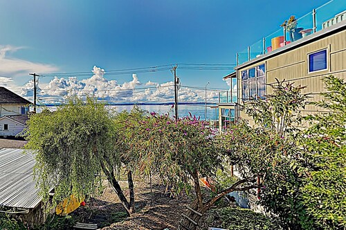 Original West Seattle beach cottage with amazing Elliott Bay views - dogs OK