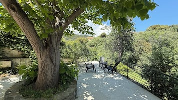 Terras