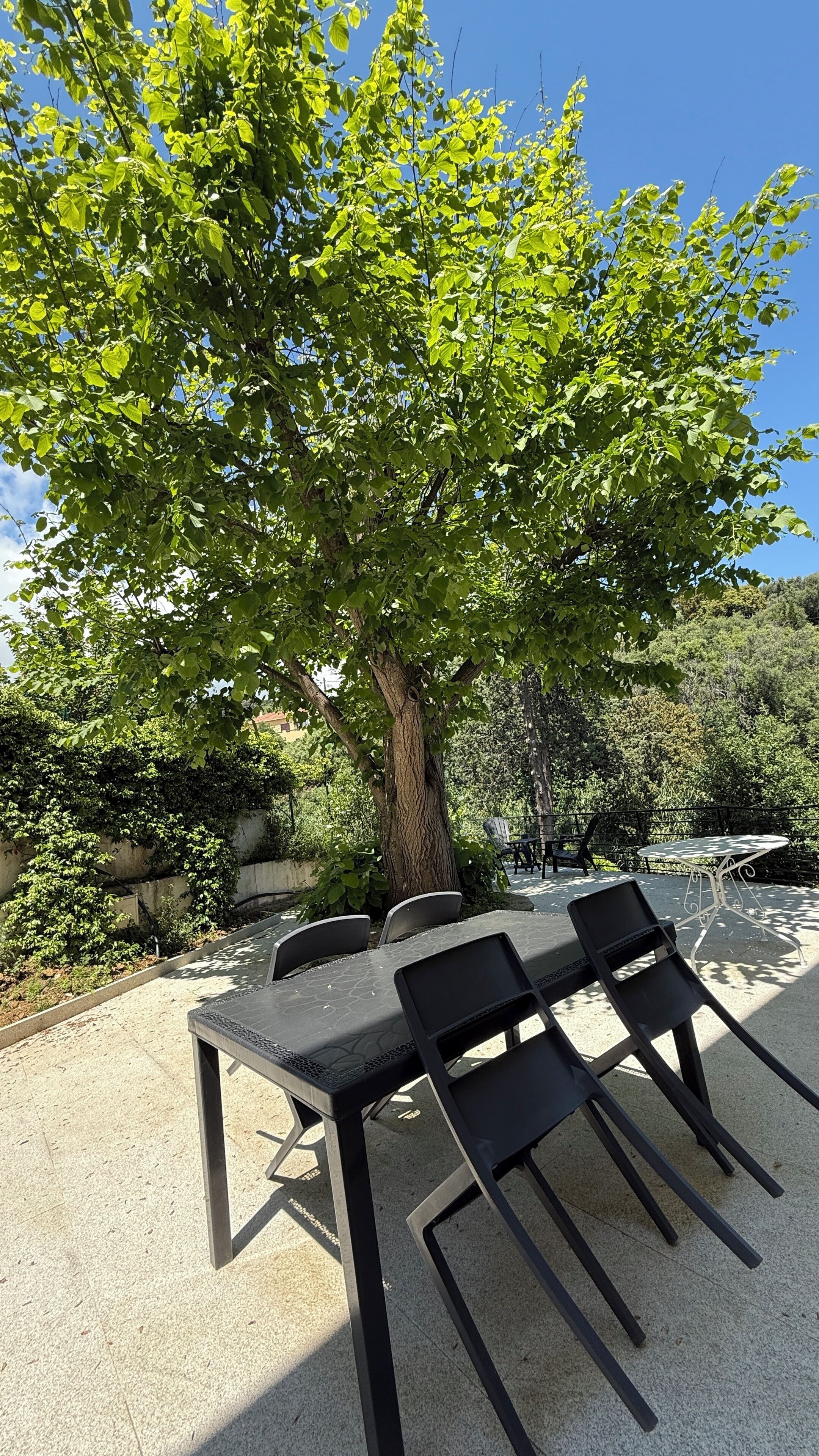 Ein Sitzbereich im Freien mit Tisch und Stühlen unter einem Baum.