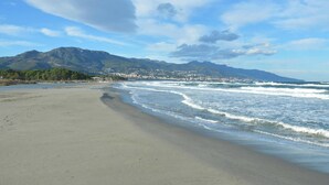 A beach with waves, a mountain, and a town in the background.