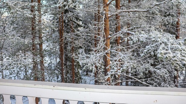 A view of a snowy forest through a window with a white frame and decorative cutouts.