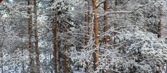 Alppikylä 8a paritalo by Interhome