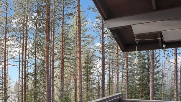 Une terrasse en bois offrant une vue sur de grands pins.