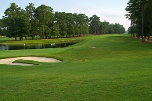 Golf - Choice getaway with screened porch, pool & hot tub - minutes to Surfside Beach (Surfside Beach)