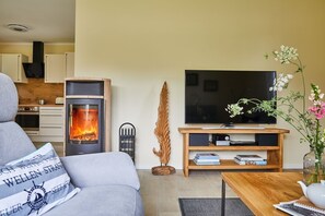 Televisión, chimenea, reproductor de DVD y estéreo 