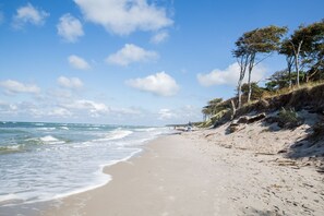 Una playa con arena, olas y vegetación escasa.