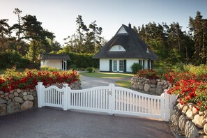 Immagine non classificata, 5 di 36, pulsante