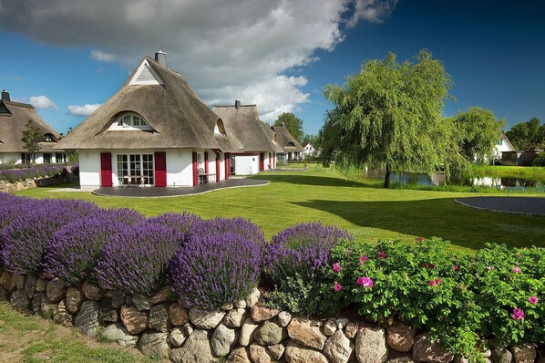 Imagen sin descripción, 1 de 33, botón