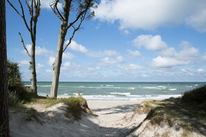 A beach with sand dunes, a clear sky, and the ocean.