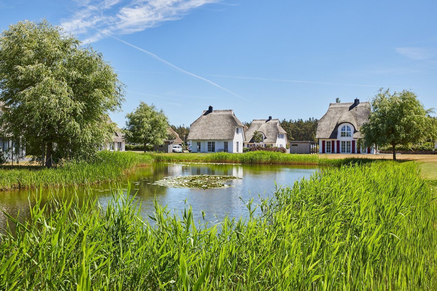 A row of traditional thatched-roof cottages by a calm pond, surrounded by lush greenery.