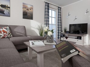 Télévision, cheminée, chaîne hi-fi