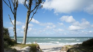 Una playa con dunas de arena, cielo despejado y el océano.