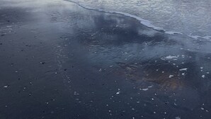 Une plage de sable humide, avec de douces vagues, sous un ciel partiellement nuageux.