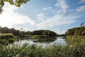 Unclassified image, 4 of 32, button