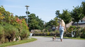 Un sentier pavé dans un parc verdoyant, avec un chien tenu en laisse.
