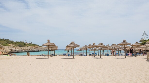 Ein Strand mit Reetdachschirmen und Liegestühlen.