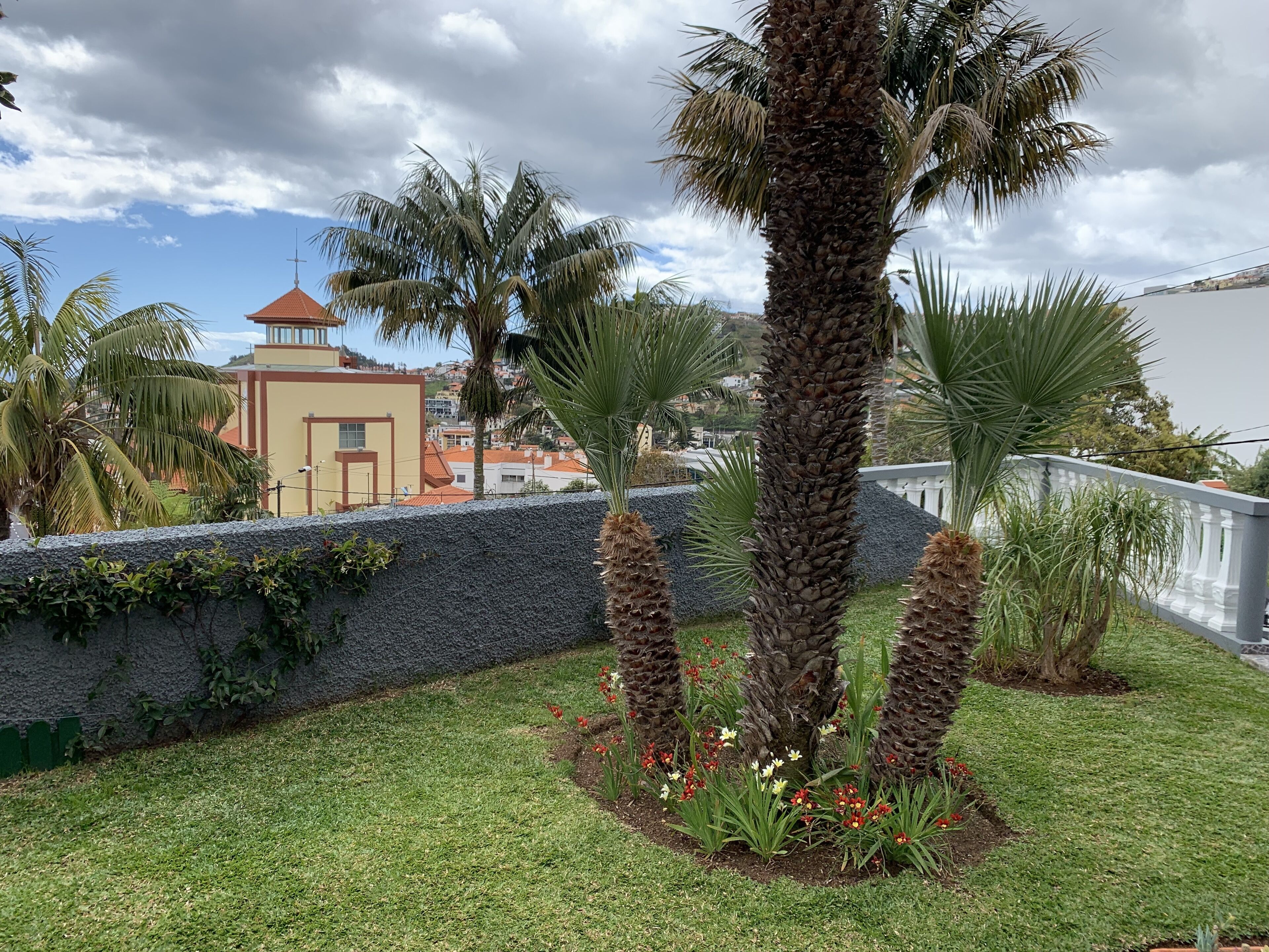 A landscaped garden with palm trees and flowers, a stone wall, and a building with a red roof in the background.