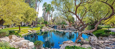 المنطقة المحيطة بالمنشأة