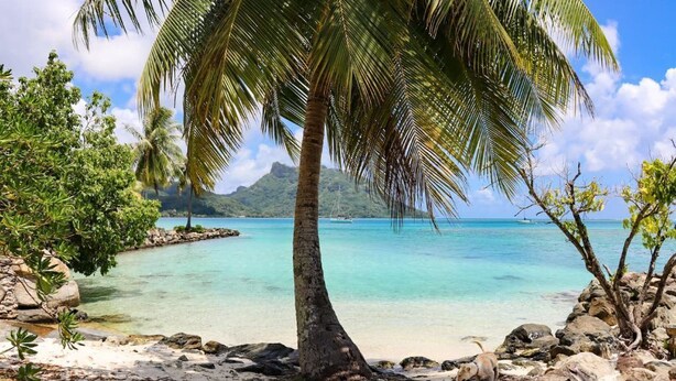 A beach with a palm tree, clear turquoise water, and a rocky shoreline. - Private garden bungalow just 200m from the beach (Fare)