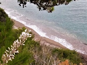 Beach - Apartments with garden view, Creta, Ierapetra (Ierapetra)