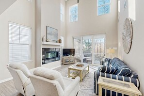 TV, caminetto, libri