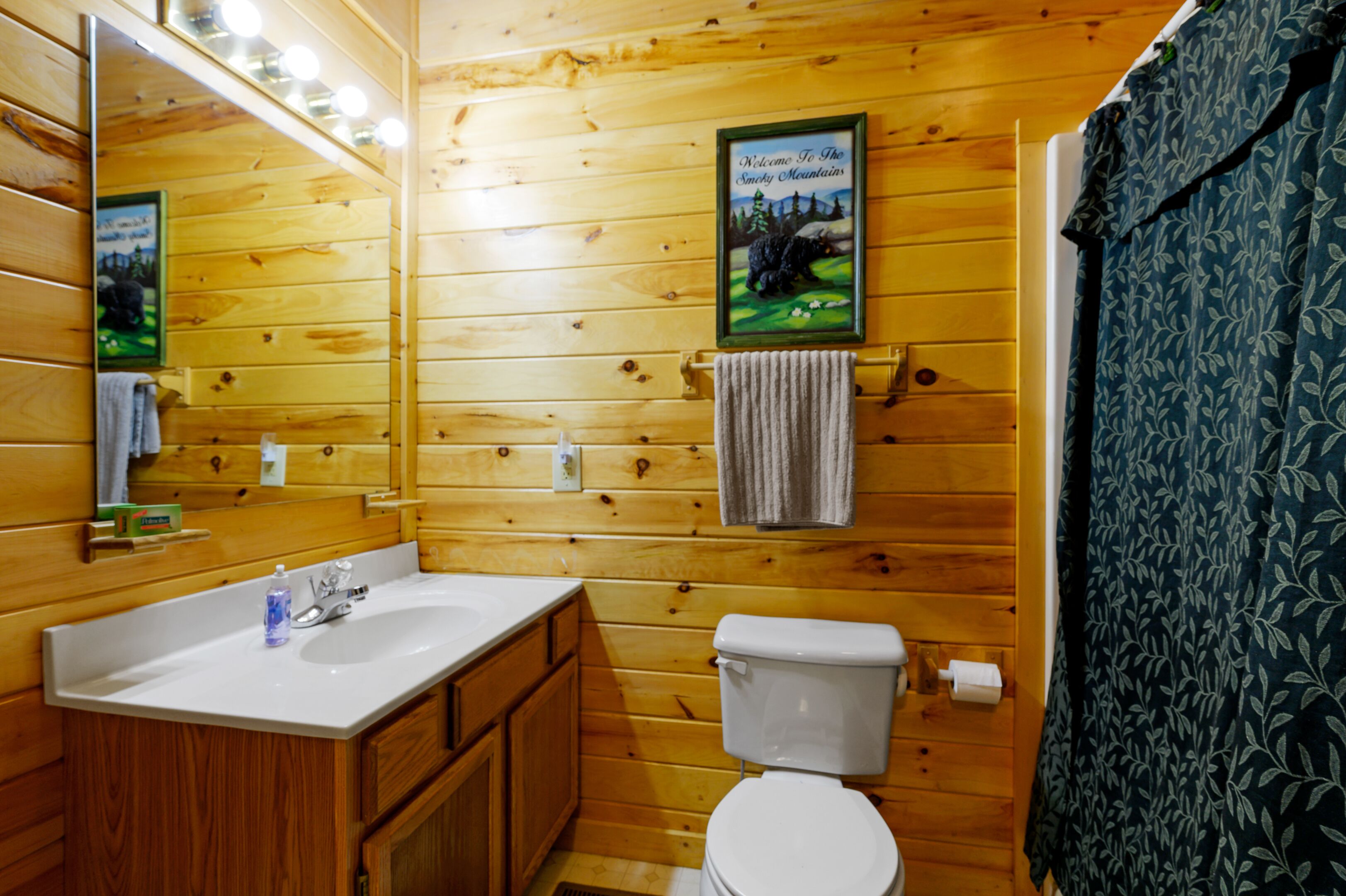 Beautiful 2 Bed Cabin with Hot Tub and Resort Pool!